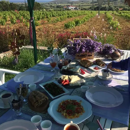 Bed & Breakfast Pin Ada Lavantali Ev Bozcaada